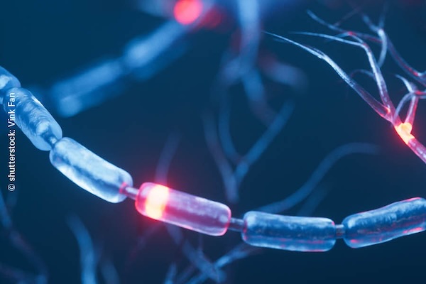 Paul-Martini-Stiftung Symposium 2025