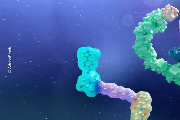 Paul-Martini-Stiftung Workshop 2026